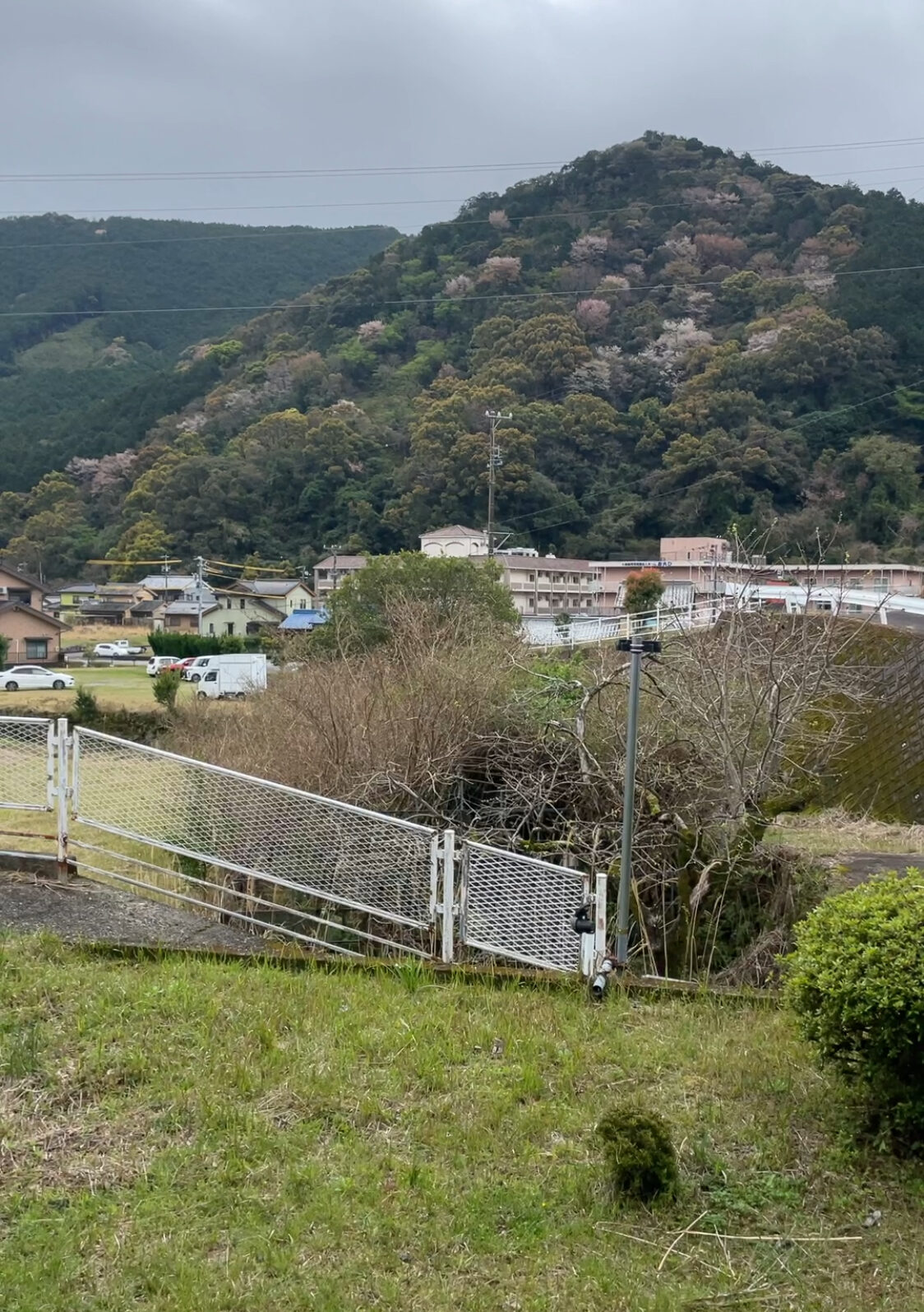 ピンポンダッシュ的な？珍客来ます。