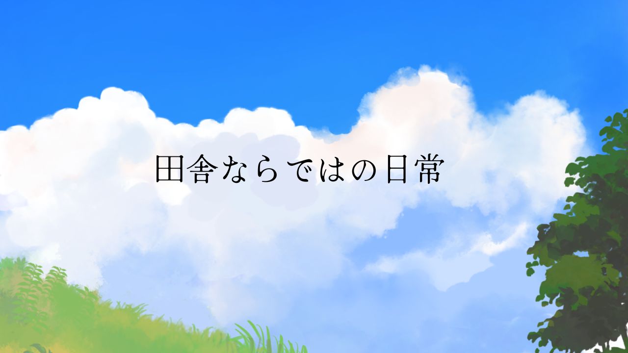 田舎ならではの日常、イベントに驚く。